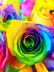Fototapeta na wymiar Close-up Of Rose Bouquet