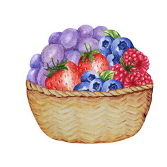 Wooden basket with various berries isolated on a white background. Strawberry, Raspberry, Blueberry watercolor illustration
