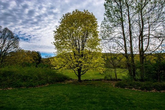 NJ Botanical Gardens © Laura