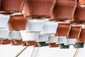 Rows of flower pots in a greenhouse