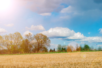 Obraz premium rural landscape with Cumulus clouds