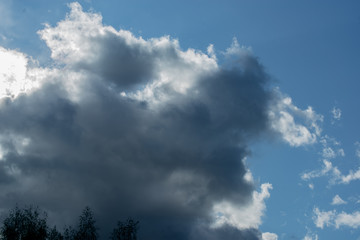 Fototapeta na wymiar Cumulus clouds overhead, blue sky,