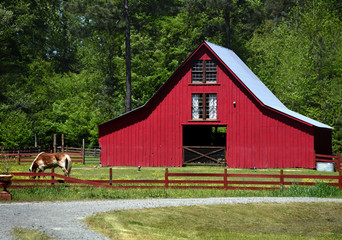 Horse Grazes in Front of Red Wooden Barn