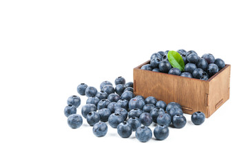 blueberry berries in wood box isolated on white background