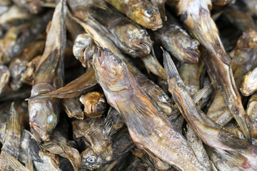 Salted dried gobies lying on a counter in a street market in southern Ukraine