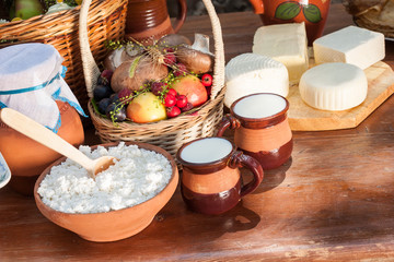 Variety of fresh farm organic food. Set of dairy products - butter, milk, curd, cheese, cream in ceramic dishes