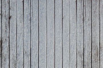 Fototapeta premium Texture