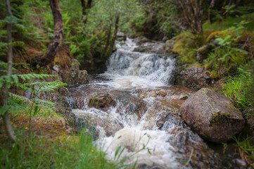 Tilt shift effect of small stream flowing in the woods of Glencoe, Scotland