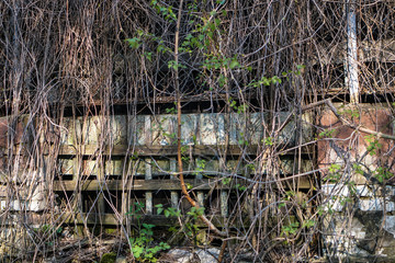 Ruins of abandoned buildings in 1986. Soviet architecture in Chernobyl. Danger of infection of people with the virus, radiation. Scary Grunge Background