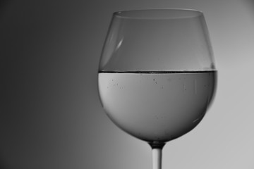 glass of wine black and white