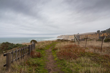 Path along the California coastline