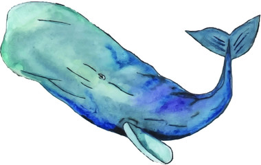 Isolated blue whale on white background