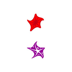 Star Fish Logo Template vector