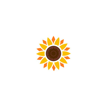 Sun Flower Logo Template vector 