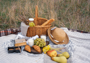  A basket of bread and milk, cookies, croissants, and a book lie on a blanket spread on the ground.