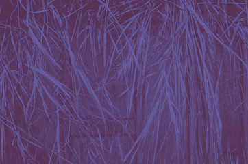 abstract plum and purple colors background for design