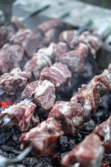 Roasted meat on the fire. Camping cooking kebab. Barbecue