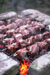 Roasted meat on the fire. Camping cooking kebab. Barbecue