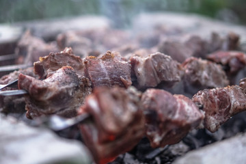 Roasted meat on the fire. Camping cooking kebab. Barbecue