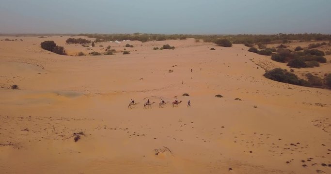 lompoul desert yellow sand photographed from the air in Africa camels and drivers go by caravan in Africa