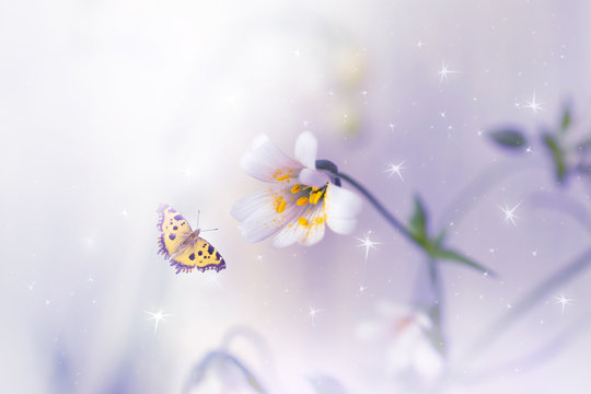 Blooming stellaria holostea macro flowers and flying butterfly on fantasy mysterious spring background with shining glowing stars, fabulous fairy tale floral garden, soft focus, artistic toned image.