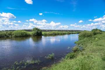 Fototapeta premium Beautiful spring river in the flowing nature. Colorful landscape in the morning and evening. Travel to deserted places of the world. Stock photo for design