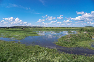 Obraz premium Spring flood in the field. Colorful swamp in the shake. Land reclamation on the territory and in the world. Landscape of a road in the water