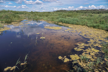 Spring flood in the field. Colorful swamp in the shake. Land reclamation on the territory and in the world. Landscape of a road in the water