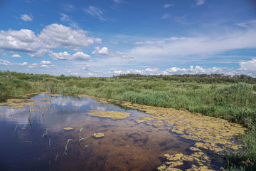 Spring flood in the field. Colorful swamp in the shake. Land reclamation on the territory and in the world. Landscape of a road in the water