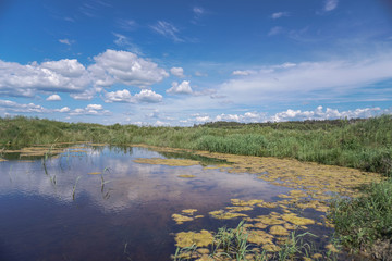 Spring flood in the field. Colorful swamp in the shake. Land reclamation on the territory and in the world. Landscape of a road in the water