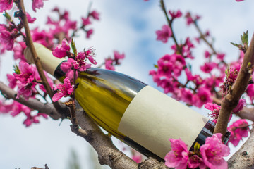 Wine in flowering trees