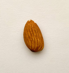 Single almond on white background