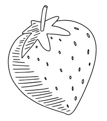 Doodles strawberry. Hand drawing isolated on a white background vector illustration