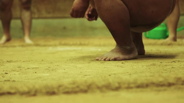 Sumo wrestlers in Japan fight in a traditional yellow sand circle, close up shots of feet and legs wrestling 