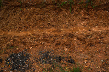 soil in the ground