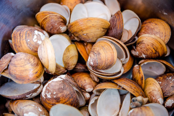 Fresh clam soup ready to serve for lunch