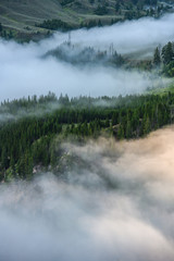 Weave of Clouds and forest in valley
