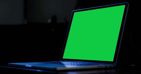 Obraz na płótnie Canvas laptop on a green screen