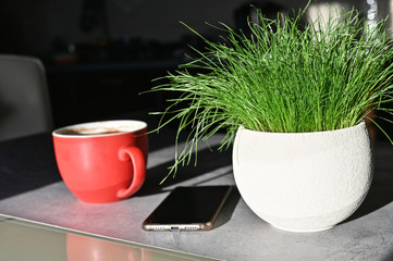 Morning coffee concept. Table with coffee machine and telephone.