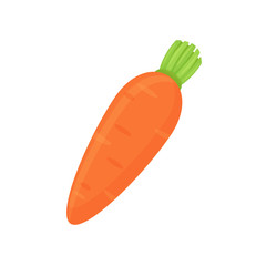 Vegetable vector. Orange carrots isolated on white background.