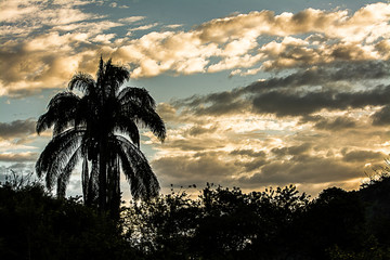 Un hermoso atardecer tropical. La silueta de una palmera en un atardecer en la playa
