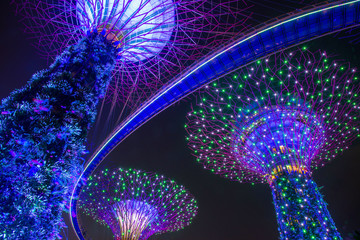 Gardens by the Bay Singapore 