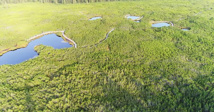 Mesmerizing lush greenery of Lovrenska Lake Slovenia
