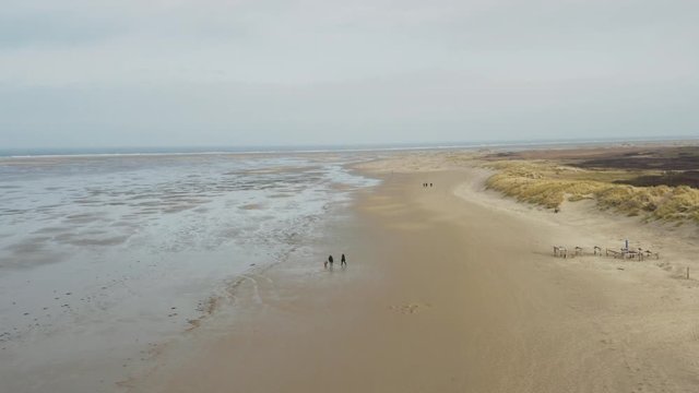 A group of people walking on an empty beach on frisian island Borkum next to dunes and wadden sea of the north sea - Drone aerial circling shot