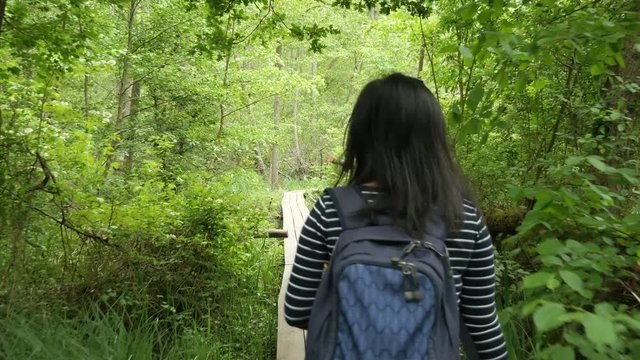A Young Woman with a Backpack walking on a Boardwalk in a Forest next to a Swamp Area