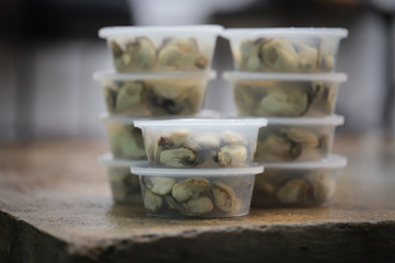 Fototapeta na wymiar Raw oysters packed in a jar and ready to eat is seafood, Oyster packing in plastic box for sale.
