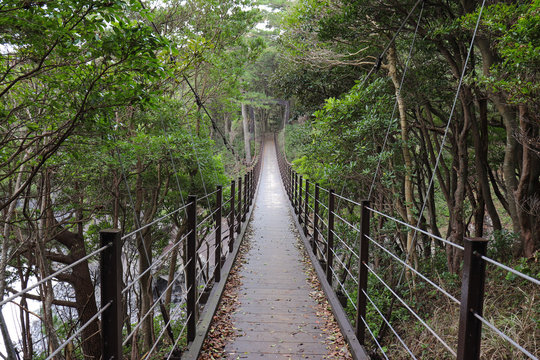 橋立吊橋（静岡県伊東市）