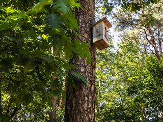 birdhouse on tree