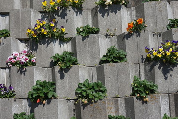 日当たりの良い、ブロック塀の花壇