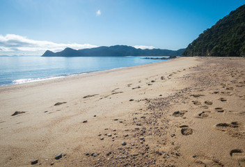 Remote tropical beach with golden sands, shot in Abel Tasman National Park, New Zealand